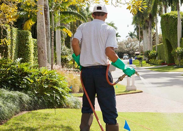 About Bridgeville PA Pest Control Pros